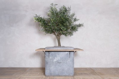 olive-tree-bar-table