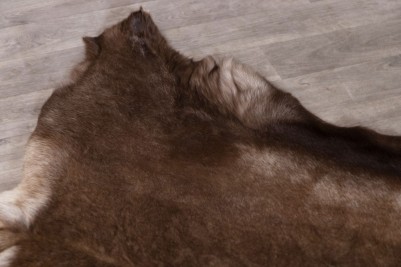 reindeer-hide-rug